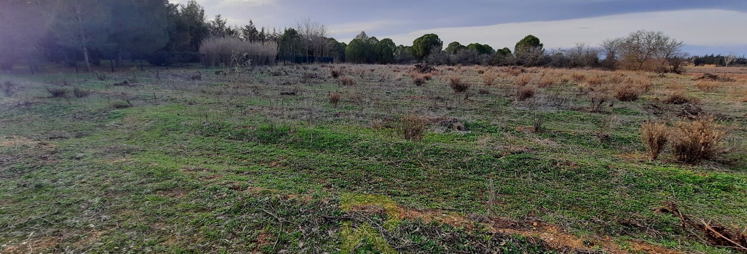 Terrain   m² à vendre à Portiragnes (34420)