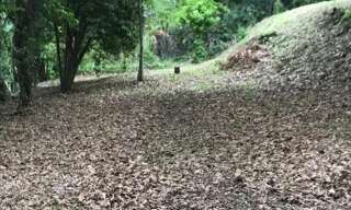 Terrain  3124 m² à vendre à La Colle-sur-Loup (06480)