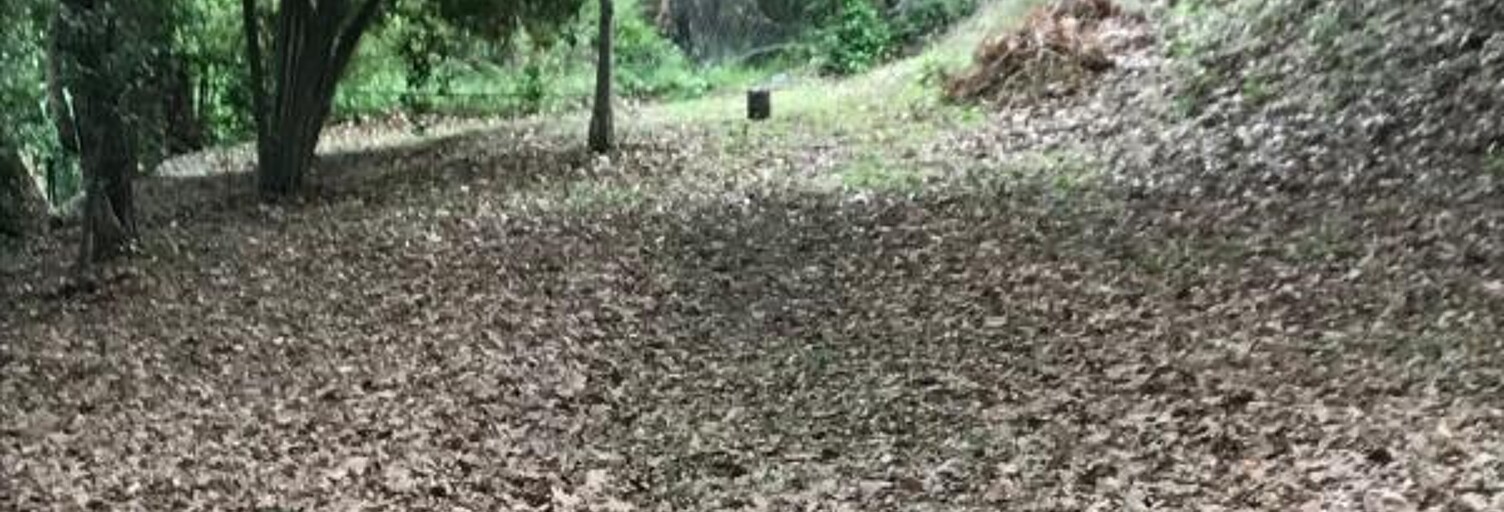 Terrain  3124 m² à vendre à La Colle-sur-Loup (06480)