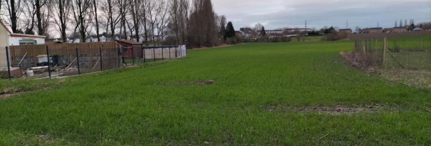 Terrain  1782 m² à vendre à Auby (59950)