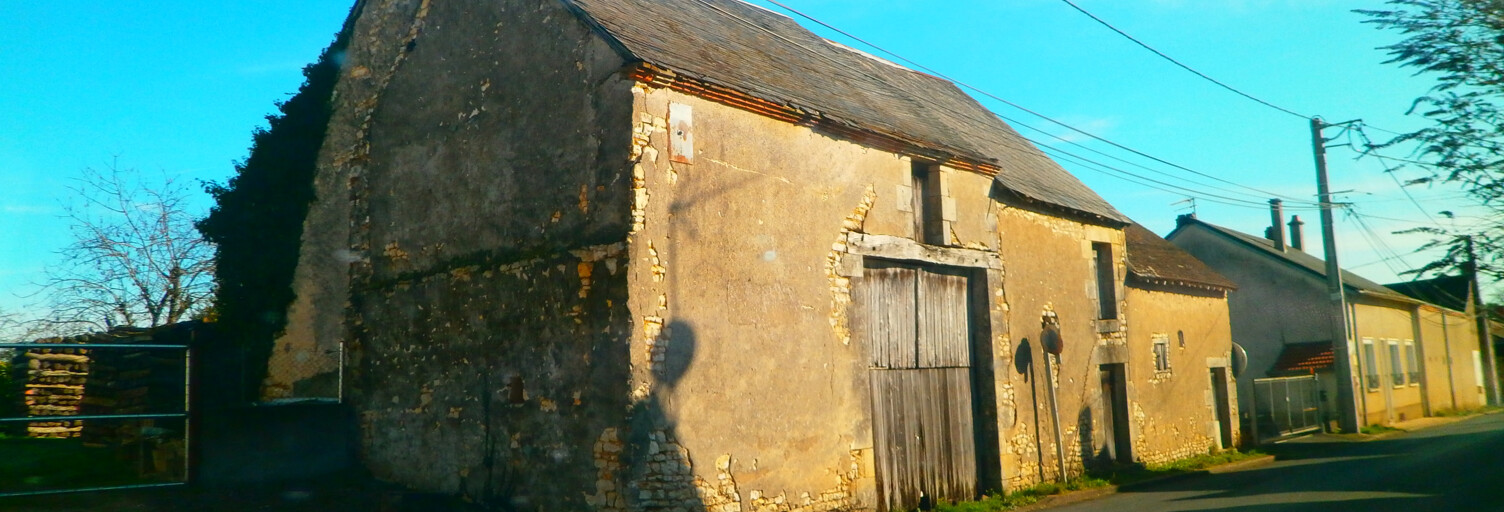 Maison 1 Pièce 88 m² à vendre à Les Bordes (36100)