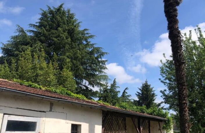 Une opportunité à ne pas manquer ! — photo 3