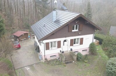vente maison 260 000 € à proximité de Provenchères-sur-Fave (88490)