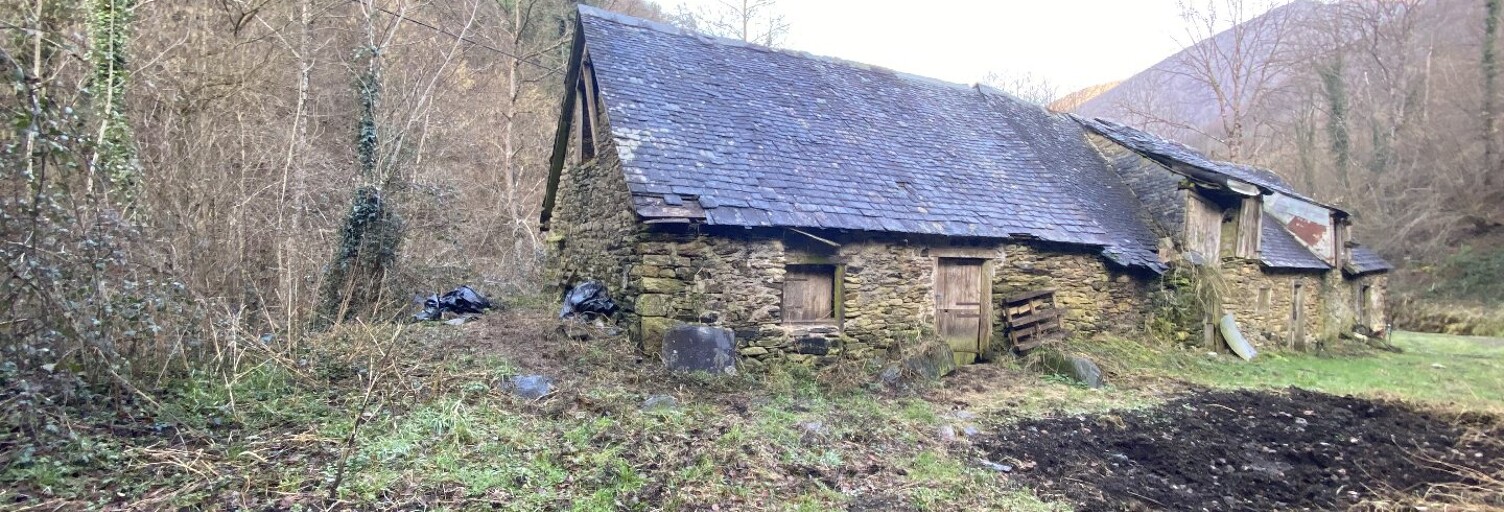 Maison 2 Pièces 66 m² à vendre à Sentein (09800)