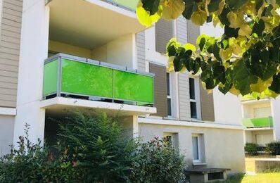 location appartement 828 € CC /mois à proximité de Vieille-Toulouse (31320)