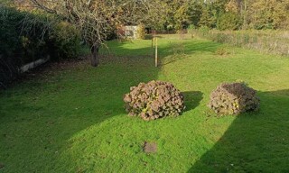 Photo N° 2