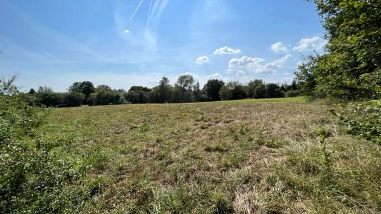 terrain  pièces 12000 m2 à vendre à Savigny-en-Sancerre (18240)