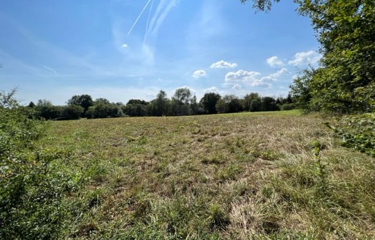 terrain  pièces 12000 m2 à vendre à Savigny-en-Sancerre (18240)