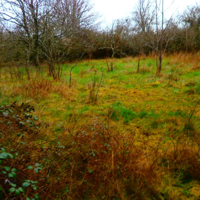 Terrain  40000 €
