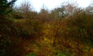 Photo N° 3