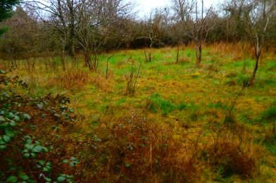 Terrain  40000 €