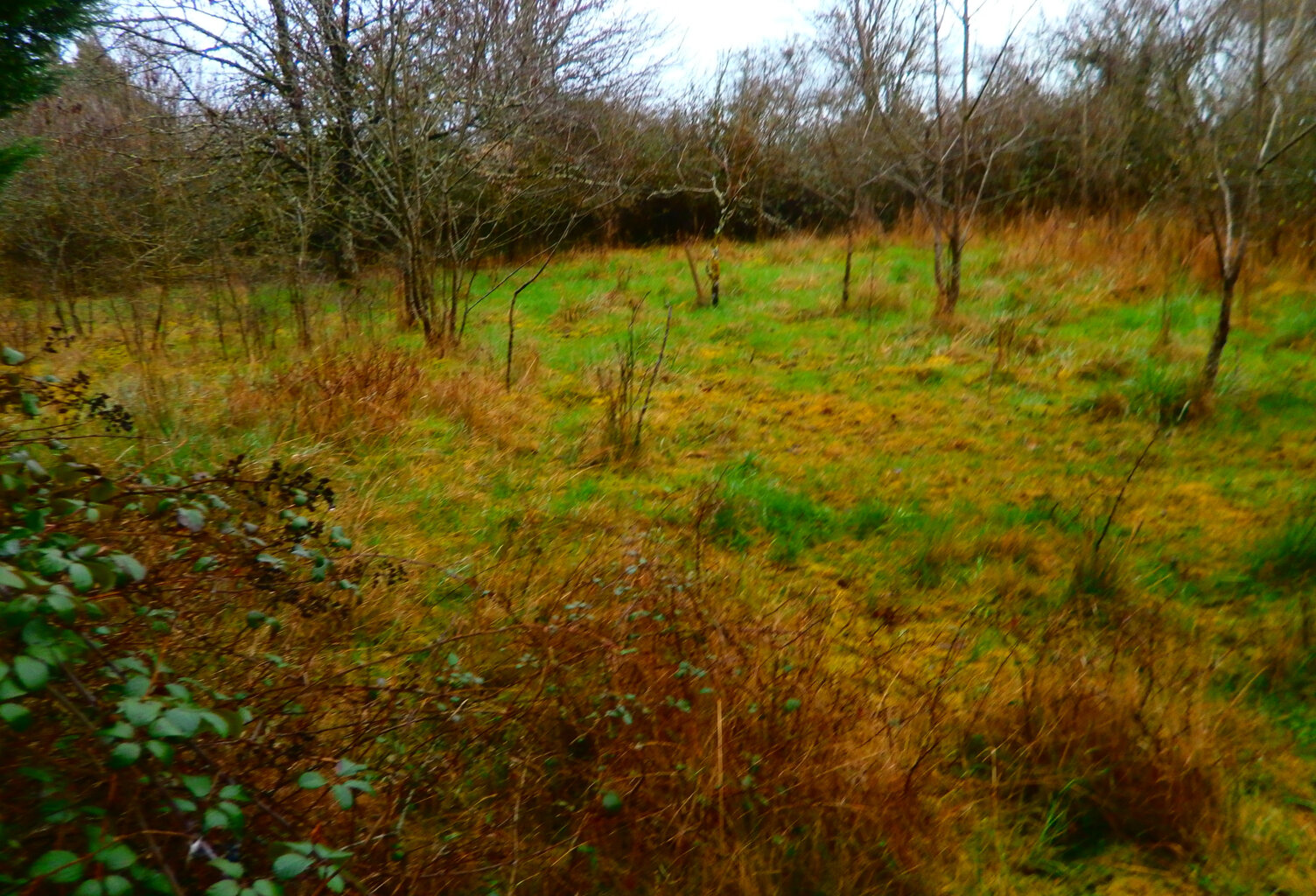 TERRAIN A BATIR POUR USAGE PROFESSIONEL OU HABITATION — photo 1
