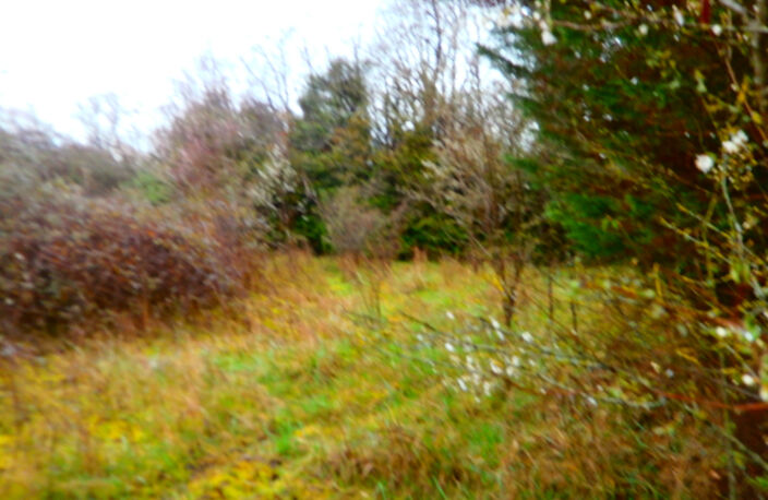 TERRAIN A BATIR POUR USAGE PROFESSIONEL OU HABITATION — photo 2
