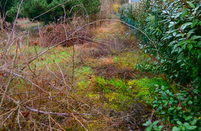 TERRAIN A BATIR POUR USAGE PROFESSIONEL OU HABITATION — photo 4