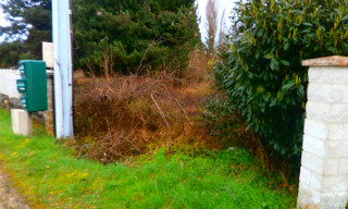 Photo N° 6