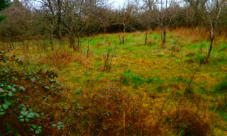 Terrain  3000 m² à vendre à Déols (36130)