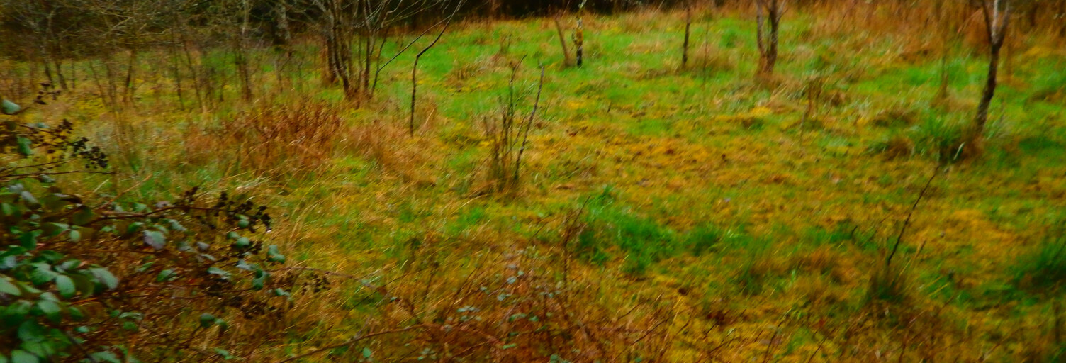 Terrain  3000 m² à vendre à Déols (36130)