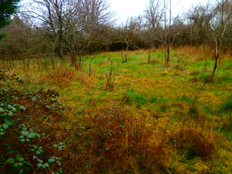 TERRAIN A BATIR POUR USAGE PROFESSIONEL OU HABITATION — photo 1