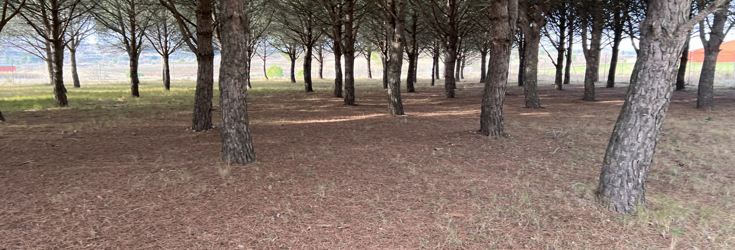 Terrain  1715 m² à vendre à Peyriac-Minervois (11160)