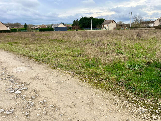 Terrain Lindry — photo du bien