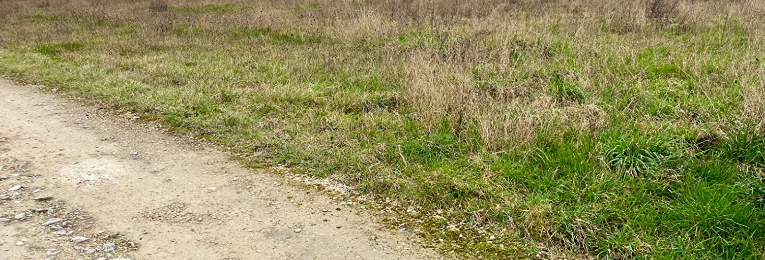 Terrain  1000 m² à vendre à Lindry (89240)