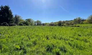 Terrain  8903 m² à vendre à Saint-Sornin-Lavolps (19230)
