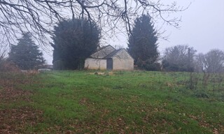 Photo N° 4