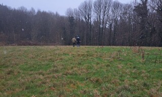 Photo N° 5