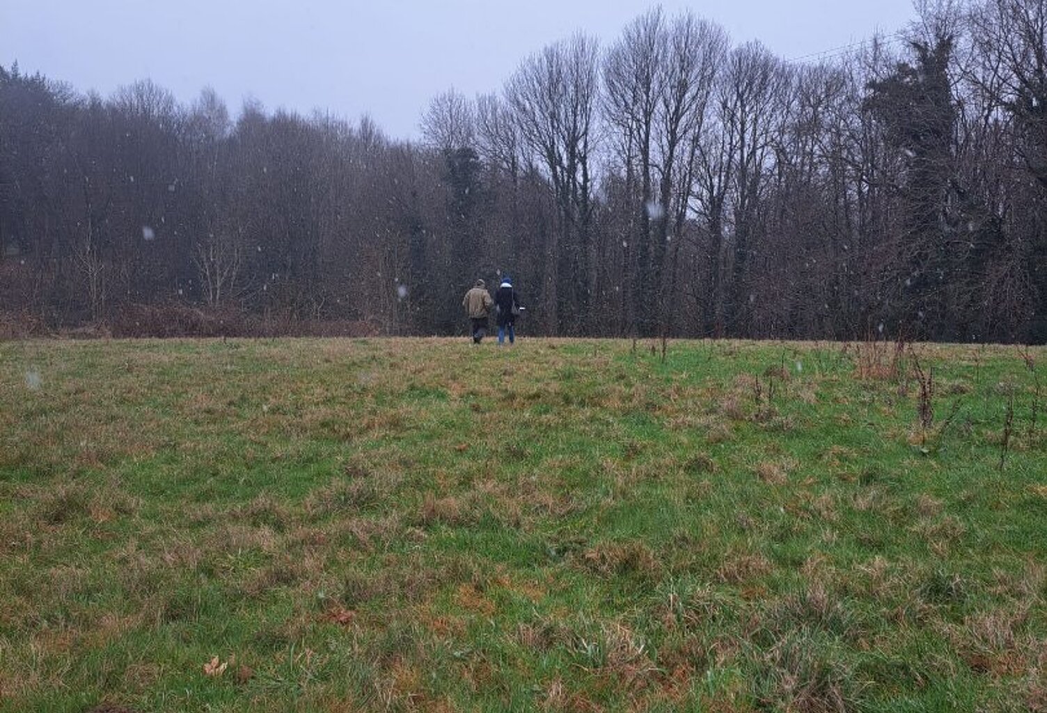 Terrain constructible — photo 1