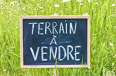 vente terrain 12 500 € à proximité de Néons-sur-Creuse (36220)