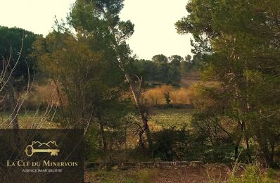 terrain  pièces 1396 m2 à vendre à Rieux-Minervois (11160)