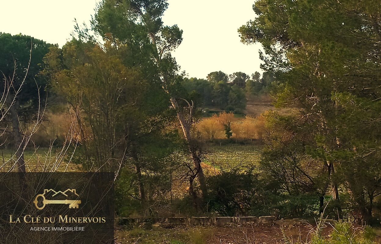 terrain  pièces 1396 m2 à vendre à Rieux-Minervois (11160)