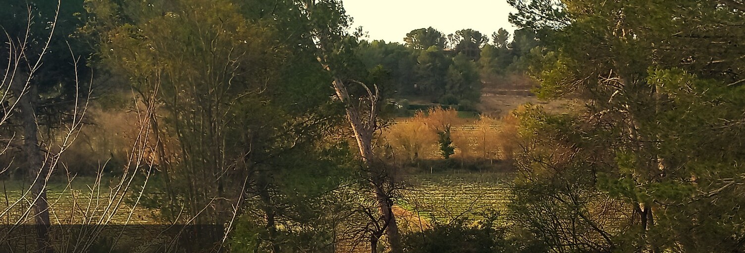 Terrain  1396 m² à vendre à Rieux-Minervois (11160)
