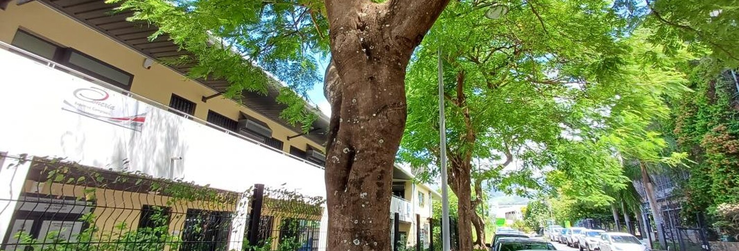 Bureau  489 m² à vendre à Saint-Denis (97490)