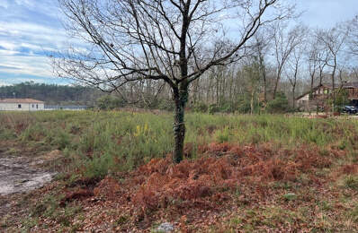 10 mn de dax terrain constructible Gourbera — photo du bien