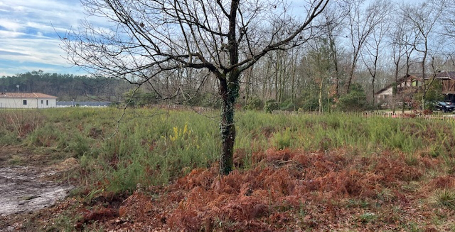 10 mn de dax terrain constructible Gourbera — photo 1