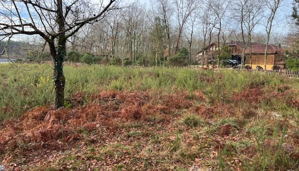 Terrain  à vendre Gourbera 40990