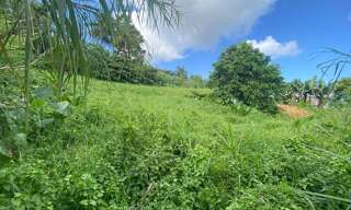 Terrain   m² à vendre à Le Lorrain (97214)