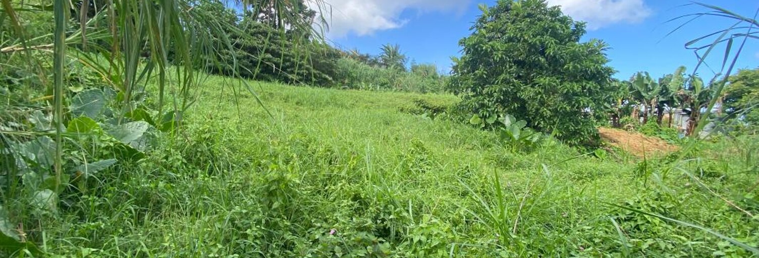 Terrain   m² à vendre à Le Lorrain (97214)