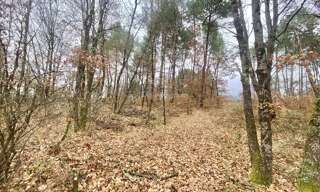 Terrain  2681 m² à vendre à Montans (81600)