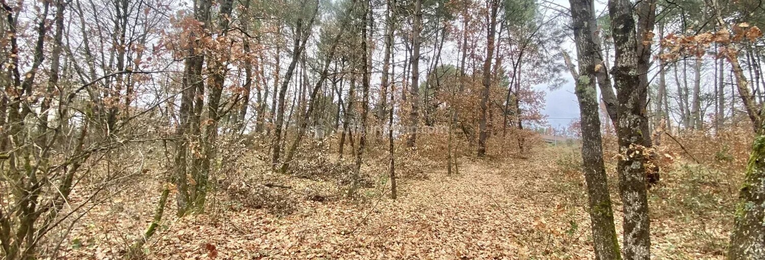 Terrain  2681 m² à vendre à Montans (81600)