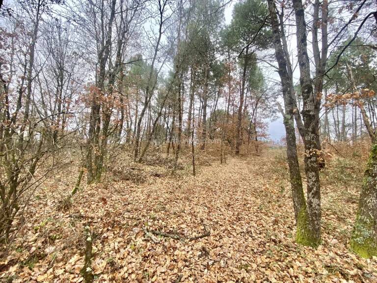 Terrain à bâtir — photo 1