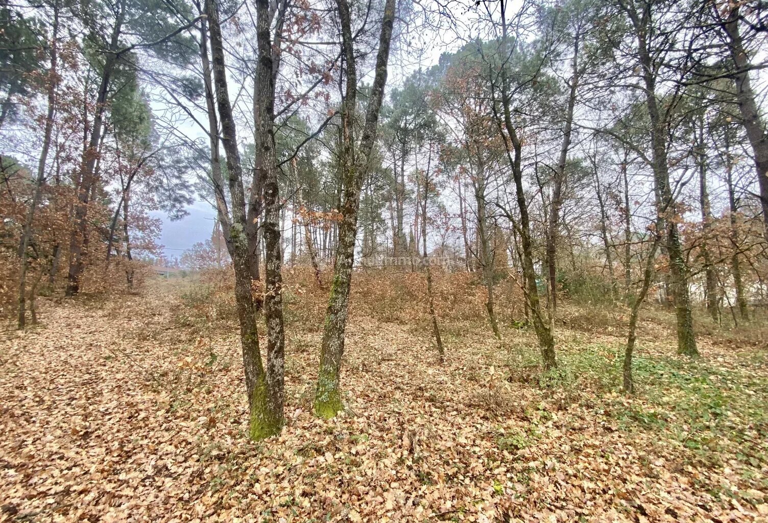 Terrain à bâtir — photo 1