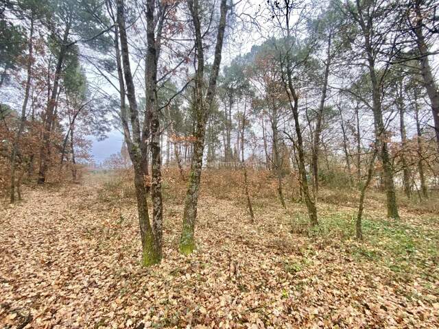 Terrain à bâtir — photo du bien