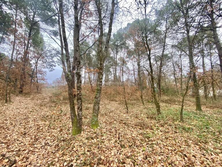 Terrain à bâtir — photo 1