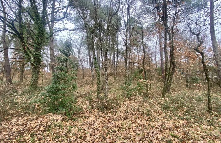 Terrain à bâtir — photo 2
