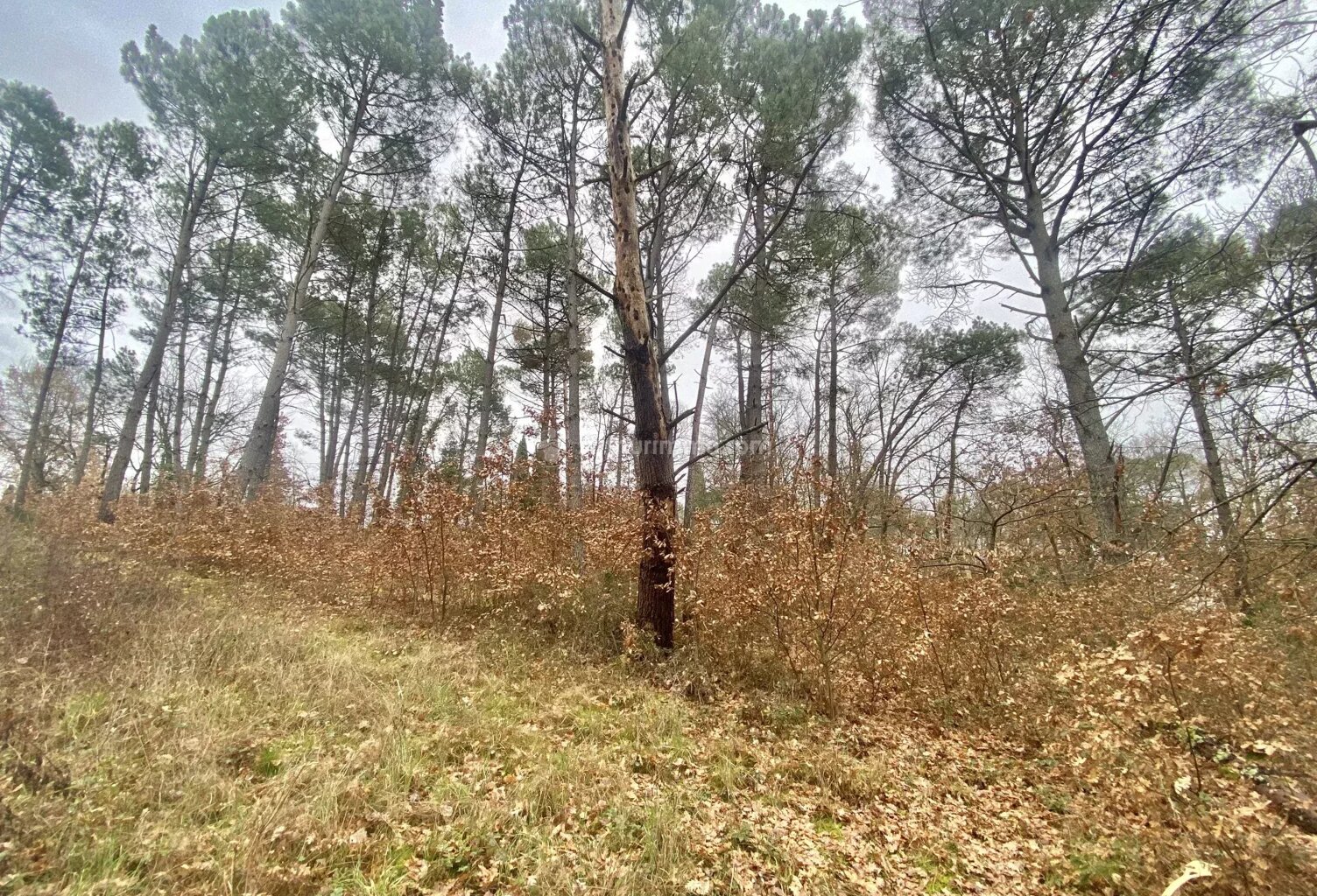 Terrain à bâtir — photo 1