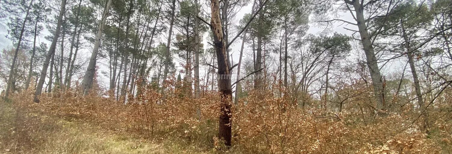 Terrain  1424 m² à vendre à Montans (81600)