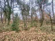 Terrain à bâtir — photo 2