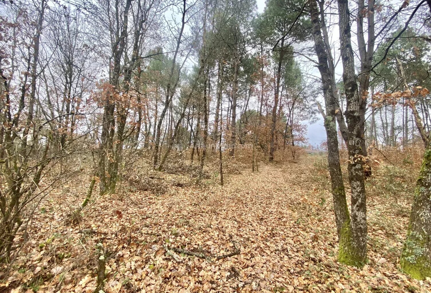 Terrain à bâtir — photo 1